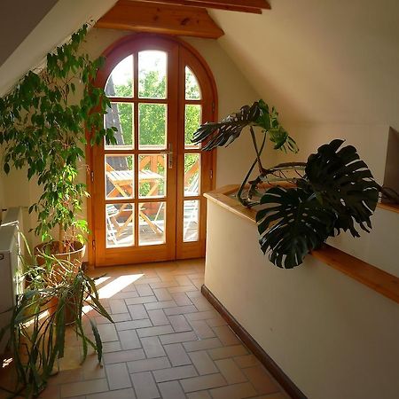 Aranyház Apartmanszállás Tihany Exterior foto